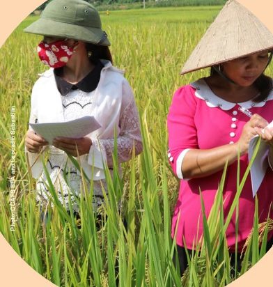 Integrating Subnational and Non-State Actors into M&E Systems for Adaptation