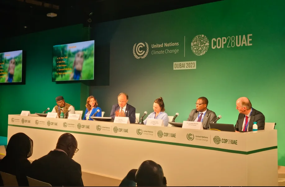 Work with us – Programme Manager