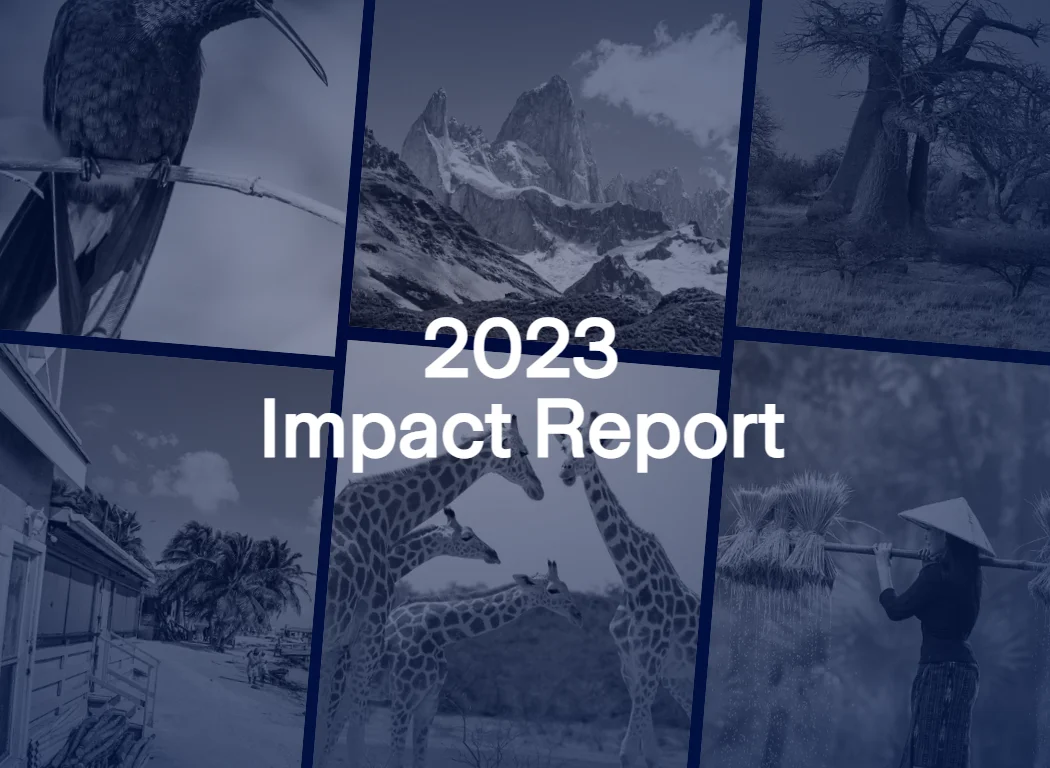 Out now: 2023 ICAT Impact report
