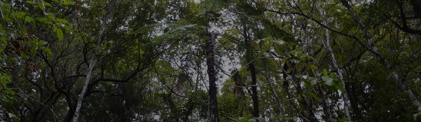 Guidance Development Spotlight: Stakeholder Participation