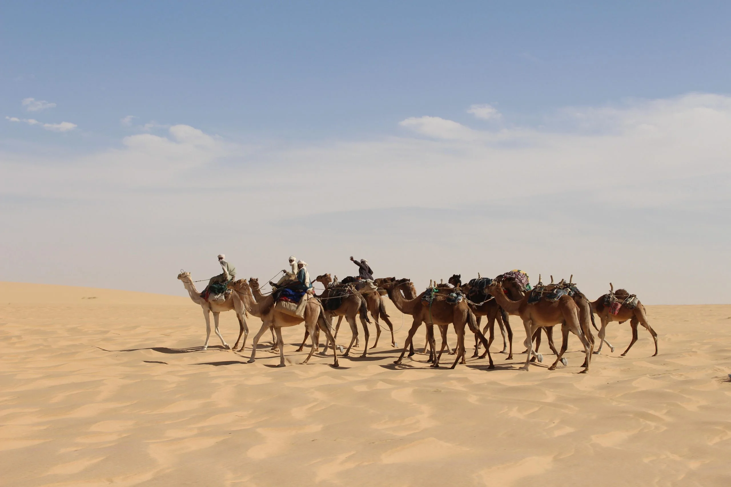 Capacity building workshop underway in Chad