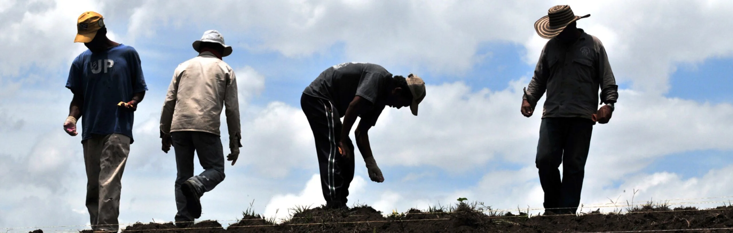 Opportunity: Technical Working Groups and Review Groups