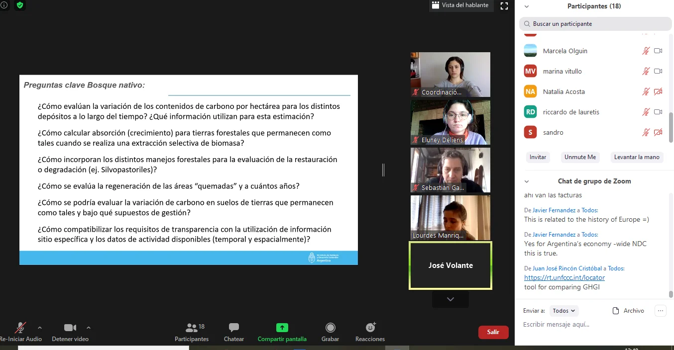 Pursuing new paths for capacity building: ICAT delivers technical assistance to Argentina on LULUCF sector