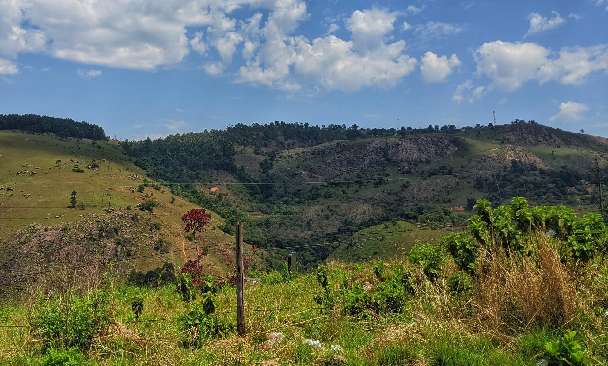 Eswatini strengthens its NDC-related transparency