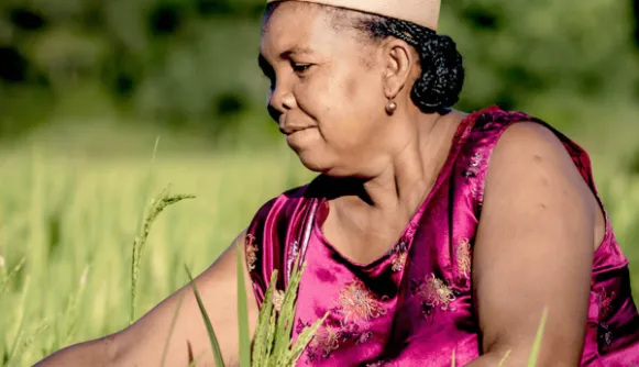 Out Now: The 2025 ICAT Impact Report