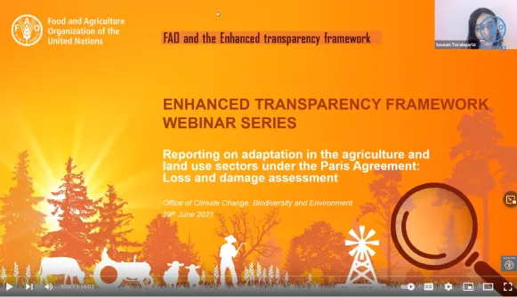 Webinar: Reporting on adaptation in the agriculture and land use sectors under the Paris Agreement: Loss and damage assessment