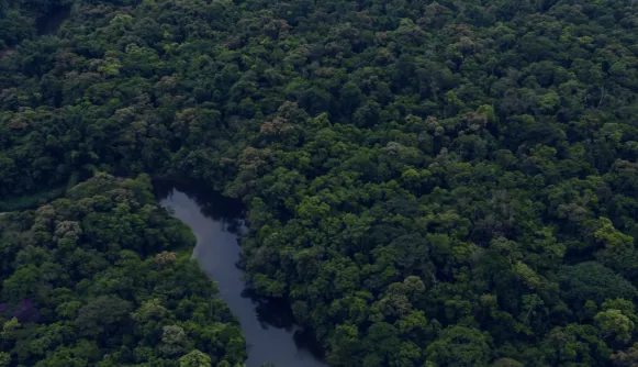COP28 Side-event: Improving transparency of climate action in Central Africa