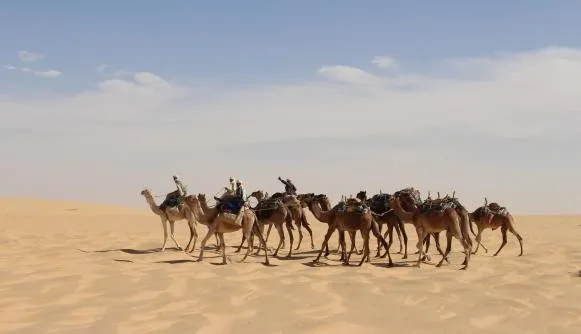 Case Study: Developing national MRV and NDC tracking systems in Chad