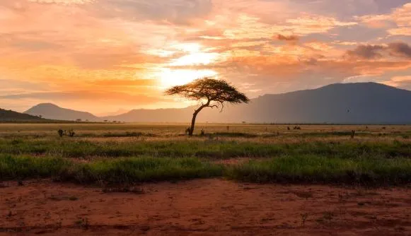Kenya commences work for enhanced transparency on the agricultural crops subsector