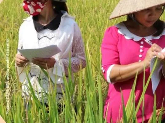 Integrating Subnational and Non-State Actors into M&E Systems for Adaptation
