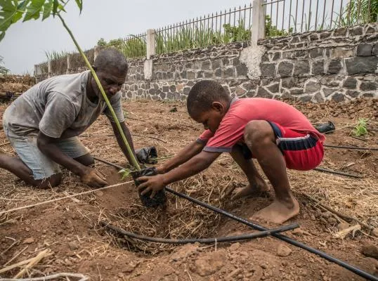 Assessment Tool and Guide for Adaptation Project Proposals
