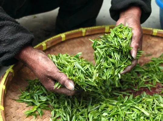 Reporting adaptation through the biennial transparency report: A practical explanation of the guidance