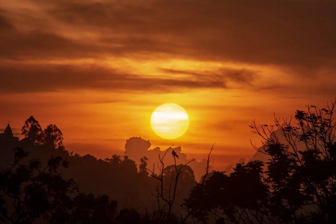 Uganda Achieves Milestone in Tracking Sectoral Climate Progress